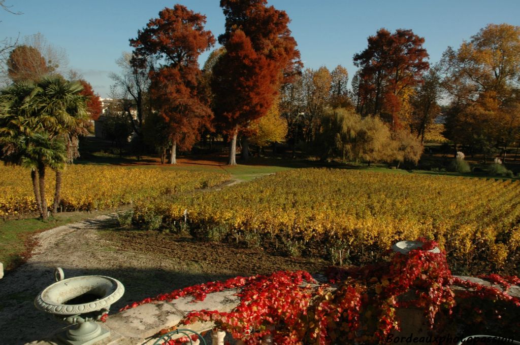 Seule la vigne vierge de la terrasse du château peut rivaliser dans les tons de rouge...