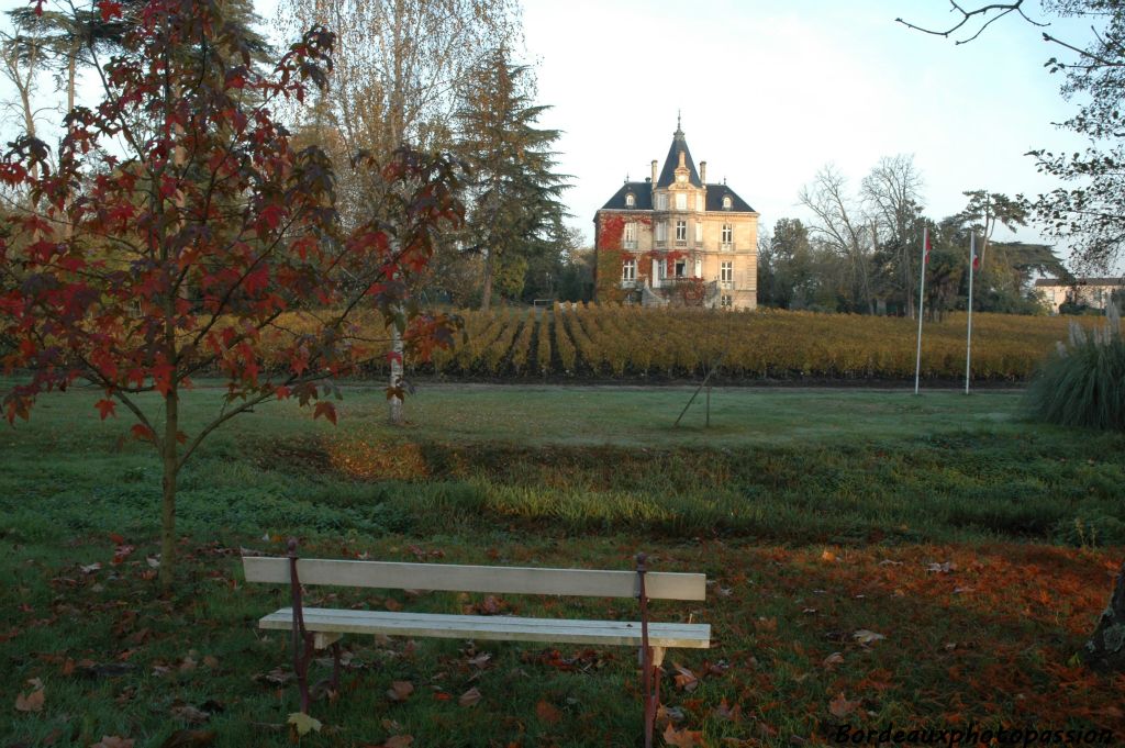 Près d'un banc incitant au farniente, le liquidambar en robe d'automne.