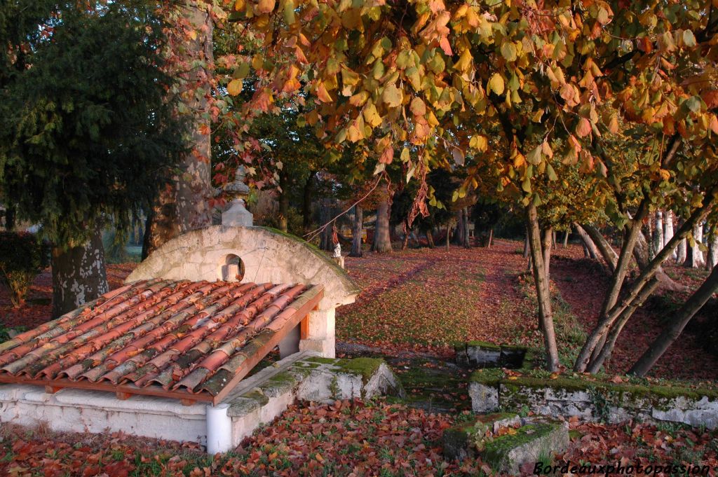 La fontaine du XIVe siècle au petit matin.