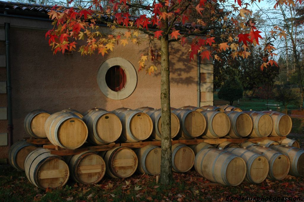 A l'extérieur du chai les barriques non utilisées. A l'intérieur le vin a commencé sa fermentation malolactique.