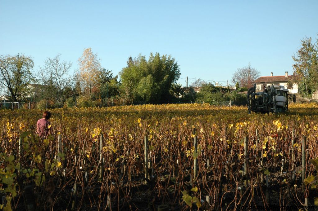 C'est le moment aussi de chausser la vigne et de semer pour le printemps !