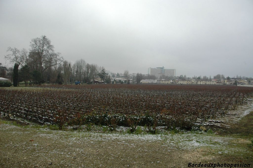 De part leur situation sur les flancs du Peugue, entourées d'immeubles et de maisons, s'il tombe 5 centimètres de neige à Mérignac, c'est une fine pellicule seulement qui recouvrira les vignes protégées.