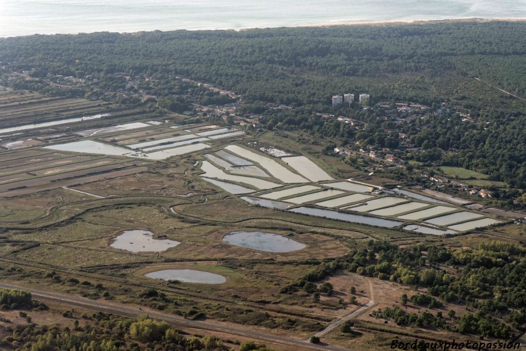 Les anciens bassins de marais salants sont devenus des bassins pour l'élevage des gambas et des huîtres.