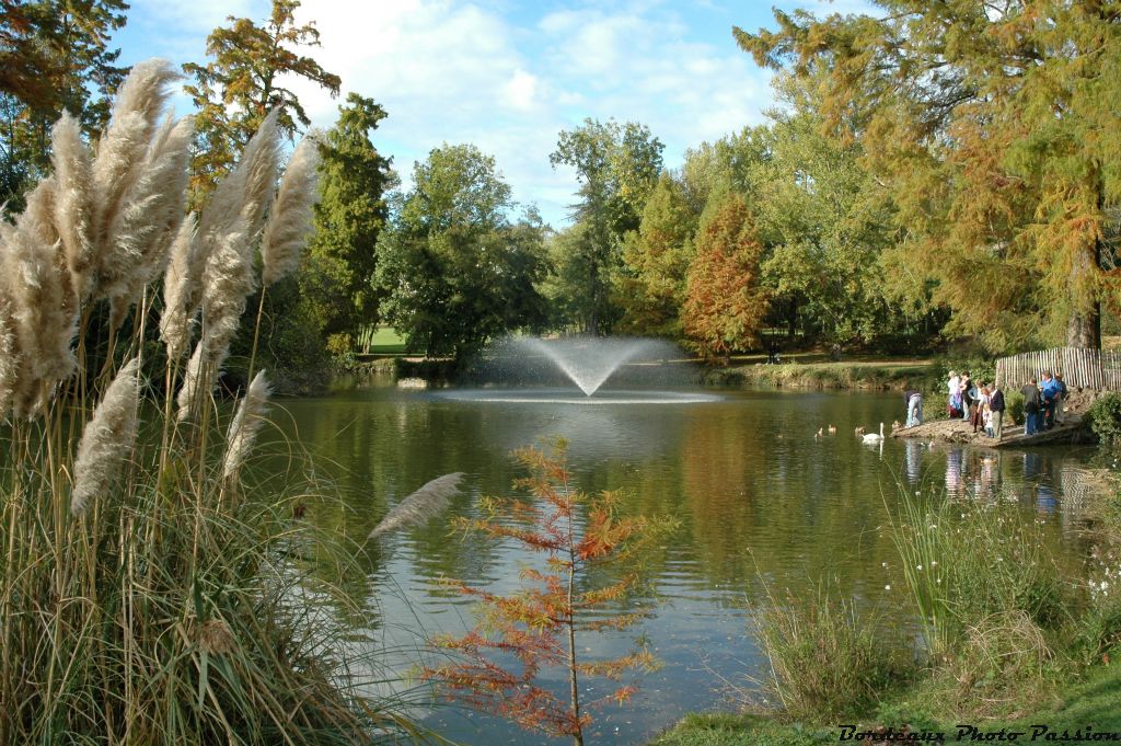 L'automne, une saison qui arrive souvent en douceur avec ses couleurs et sa lumière si particulières.