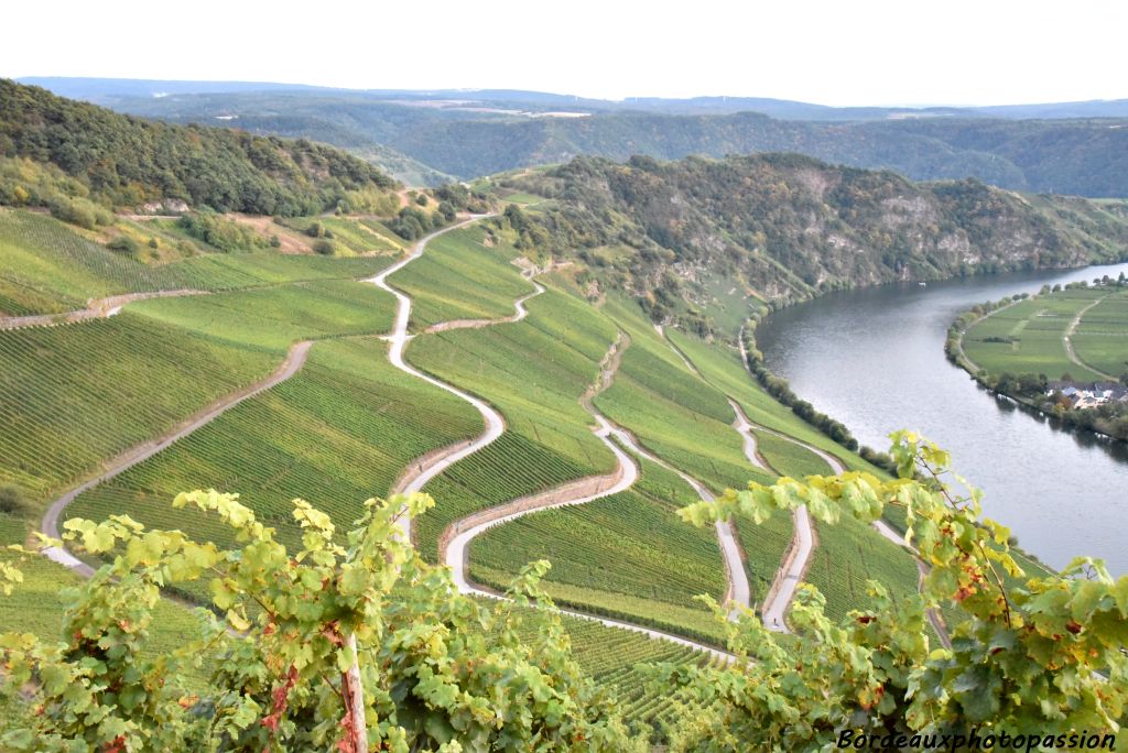 La Moselle est la plus ancienne région viticole d'Allemagne et le plus grand vignoble en coteaux