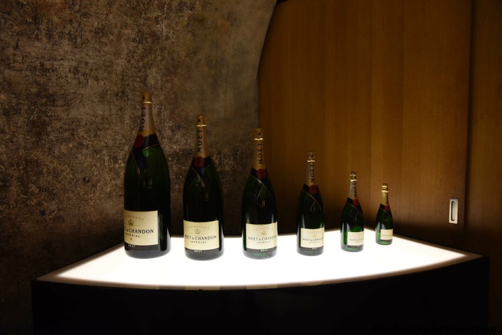  Le vignoble de Champagne produit surtout des vins blancs mousseux, avec un large éventail de cuvées (spéciales ou non), de millésimes et de flaconnages variés.