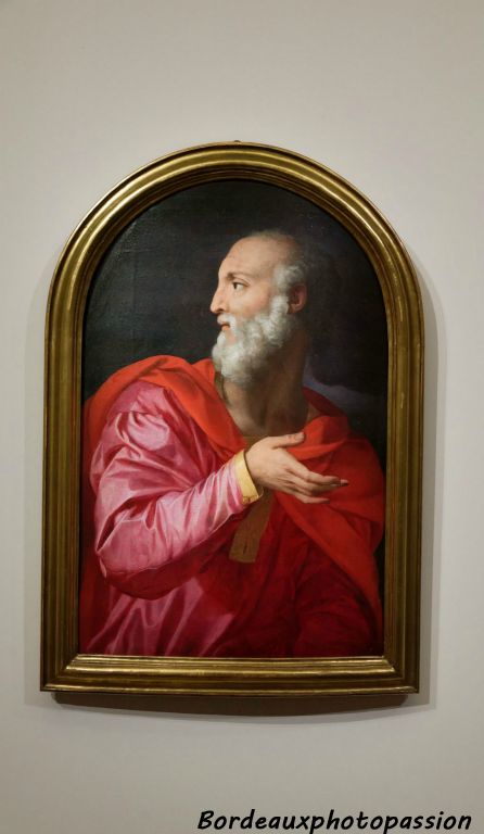 Saint Côme, d'Agnolo di Cosimo, dit Bronzino. Il fit toute sa carrière à Florence, peintre des Médicis.