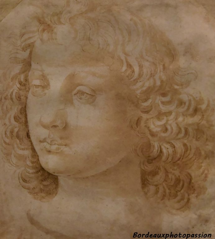 Atelier d'Andrea del Verrochio , Léonard de Vinci Étude de tête de jeune homme 1470-1472