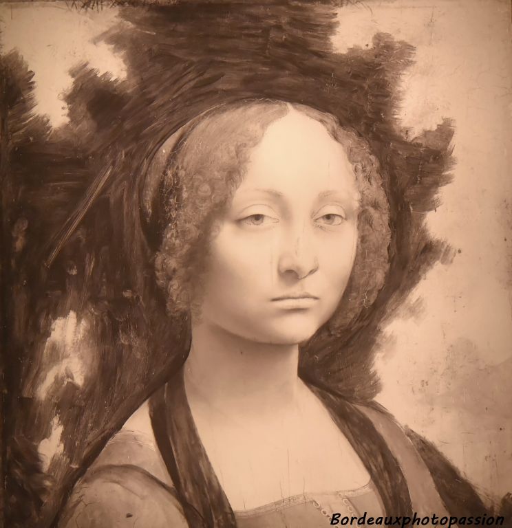 Réflexographie infrarouge du portrait de Ginevra de' Benci de Léornard de Vinci 