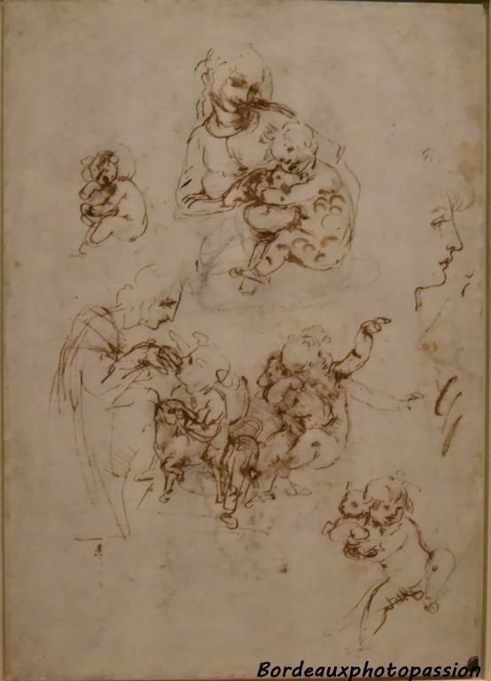 Léornard de Vinci Études pour une Vierge allaitant l'Enfant Jésus avec saint Jean-Baptiste, profils humains et profils d'animaux.
