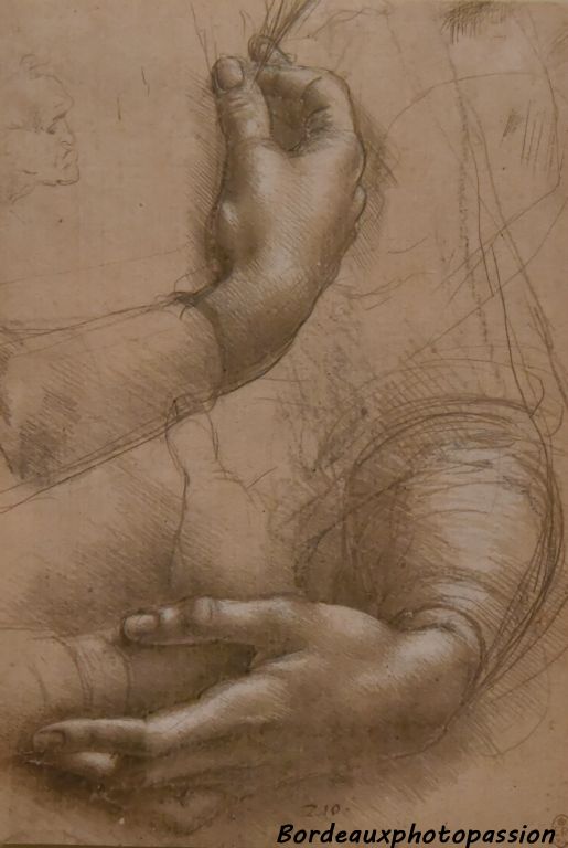 Études de mains, charbon de bois et pointe métallique Léonard de Vinci