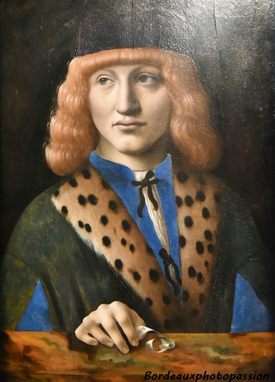 Portrait de jeune homme attribué à Marco d'Oggiono élève de Léornard depuis 1490.
