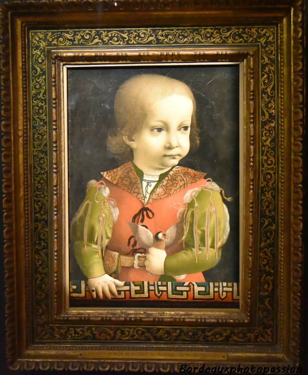 Portrait d'enfant attribué à Marco d'Oggiono
