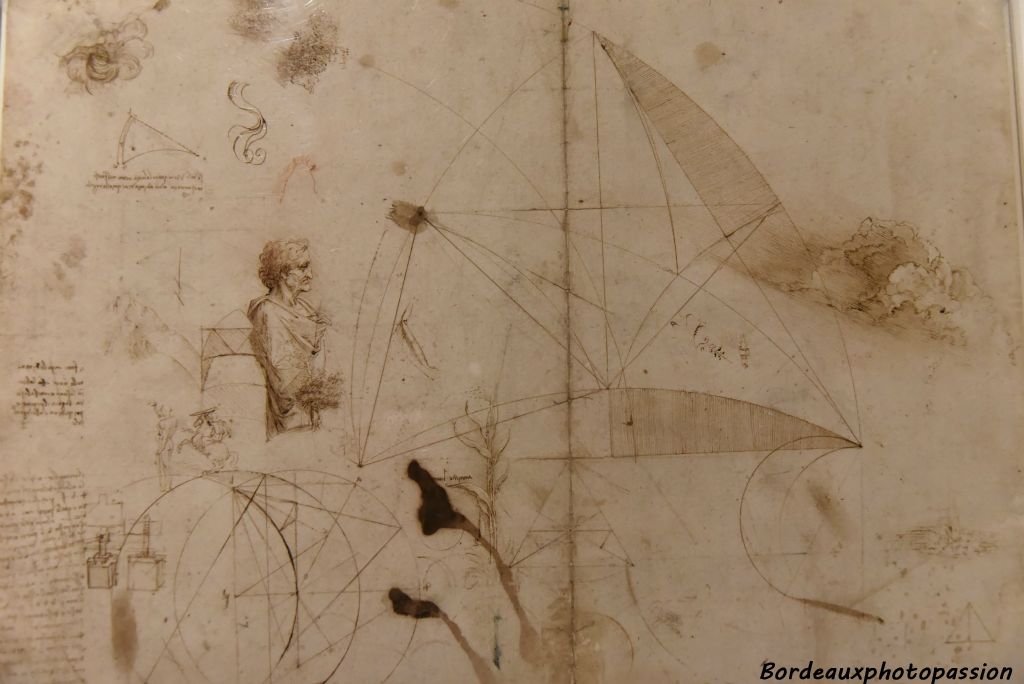 Grande feuille d'étude Léonard de Vinci Symbole de l'extraordinaire ampleur prise par la question scientifique dans l'esprit et la pratique de Léonard.