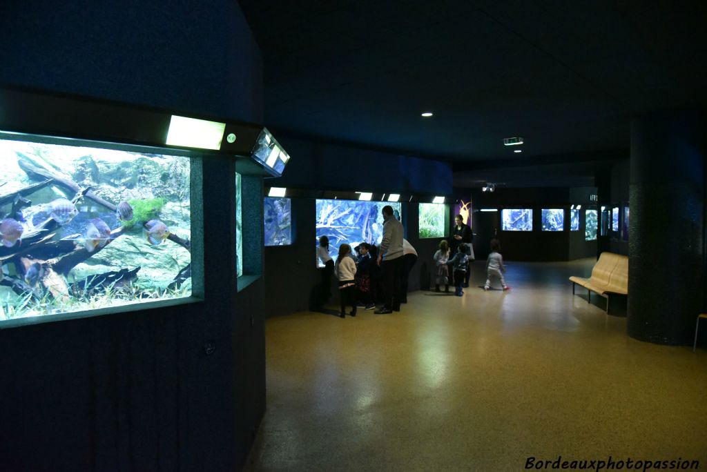 Intégré au musée des Colonies, l'Aquarium en suit les destinées. Dans le cadre du musée de la France d'Outre-Mer, il bénéficie des apports des gouverneurs qui se font un point d'honneur à ramener des poissons à l'occasion de leur retour en métropole.