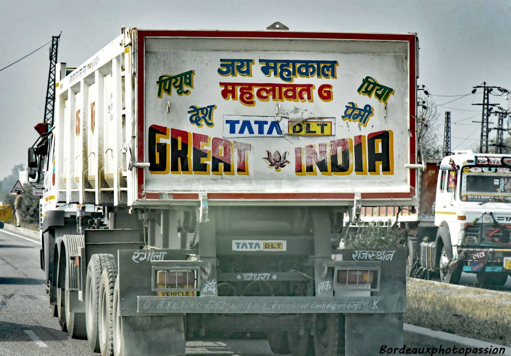 Tata Motors est un géant industriel indien qui inonde le marché de son pays d'automobiles et de camions.