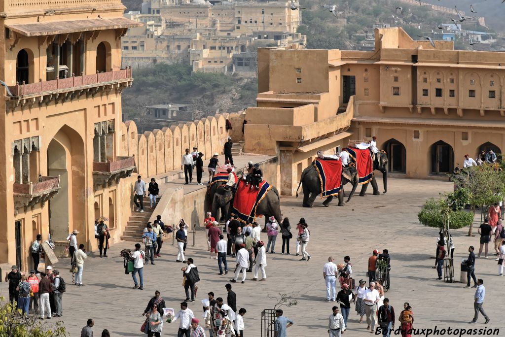 De nos jours, ce sont les touristes qui entrent dans Jaleb Chowk, "la cour où les chevaux et les éléphants sont attachés".